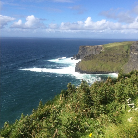 Meet your Posher, Nikki - Picture 1 of 1